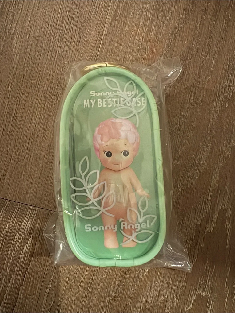 Sonny Angel Mint Green My Bestie Case